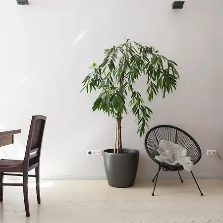 Leopold's Loft Apartamento